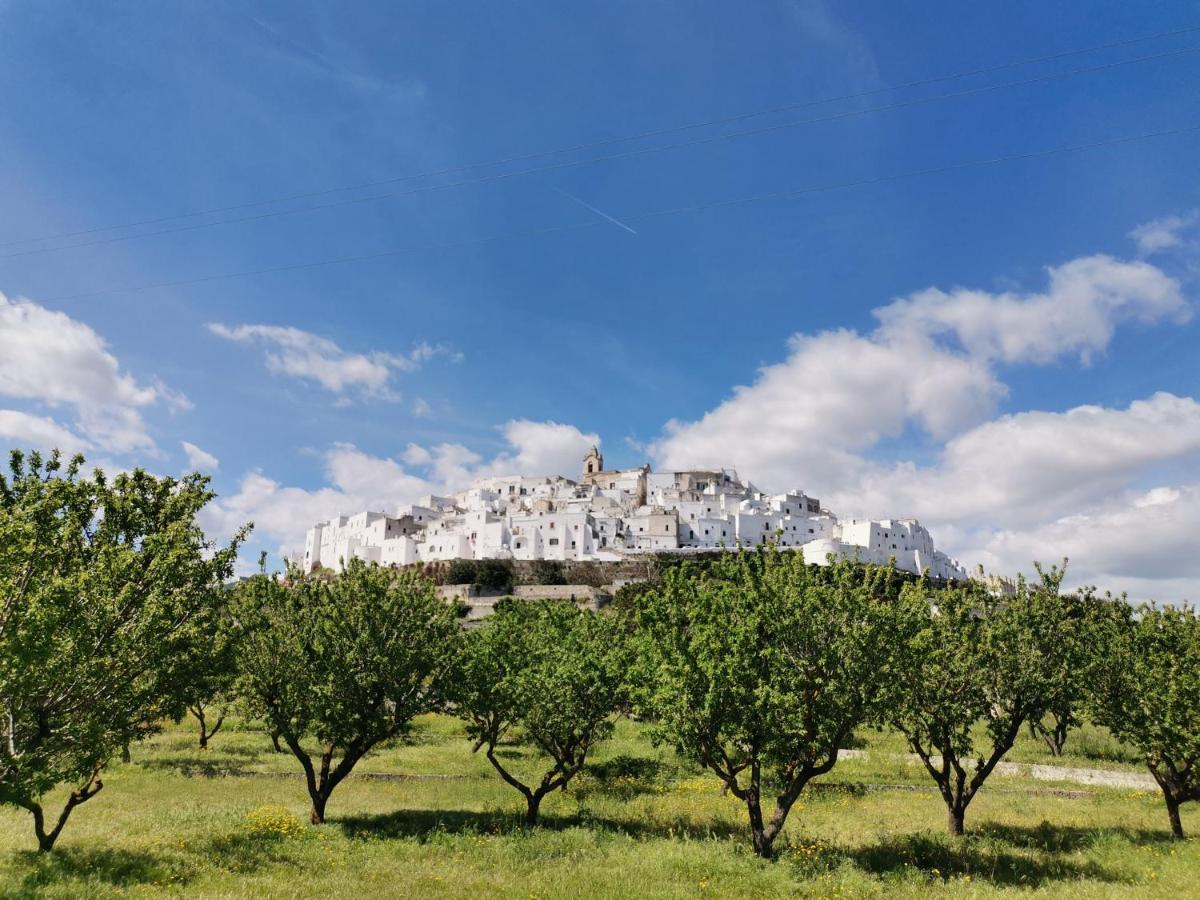 Casa dei Levantini, sea view, wonderful terrace in old town Ostuni Buitenkant foto